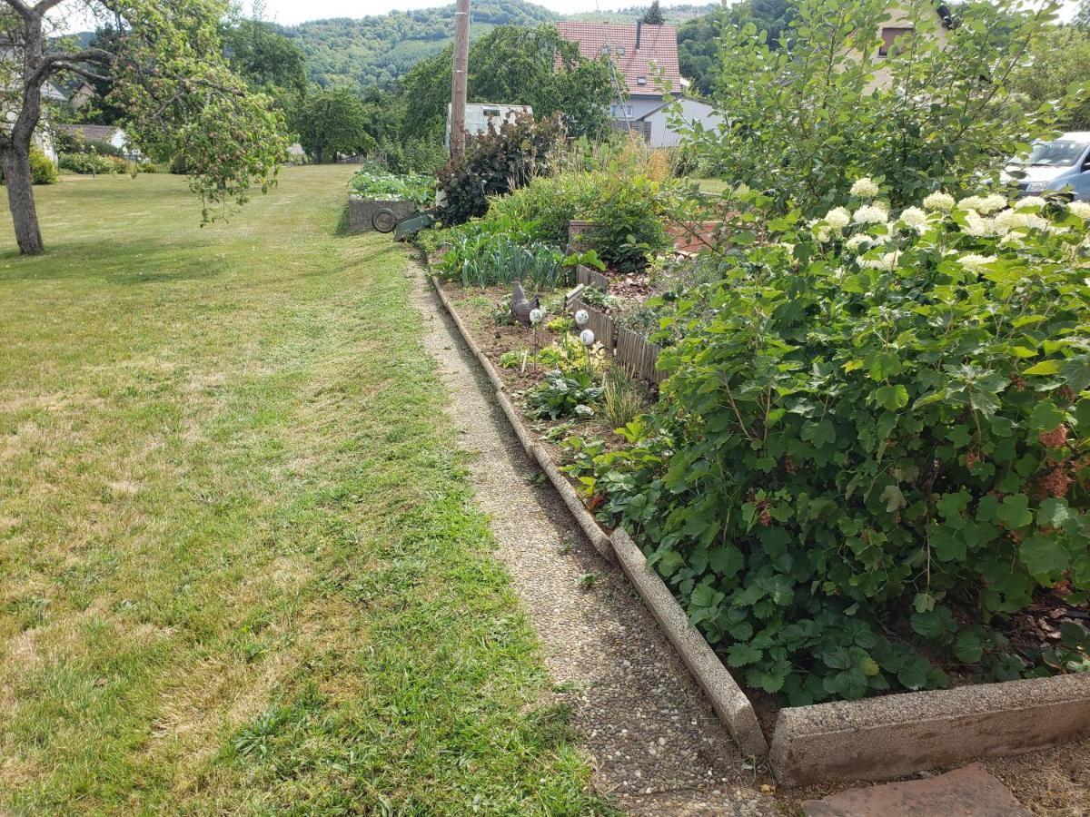 Le Souplex D'Anais Bed and Breakfast Schirmeck Exteriör bild